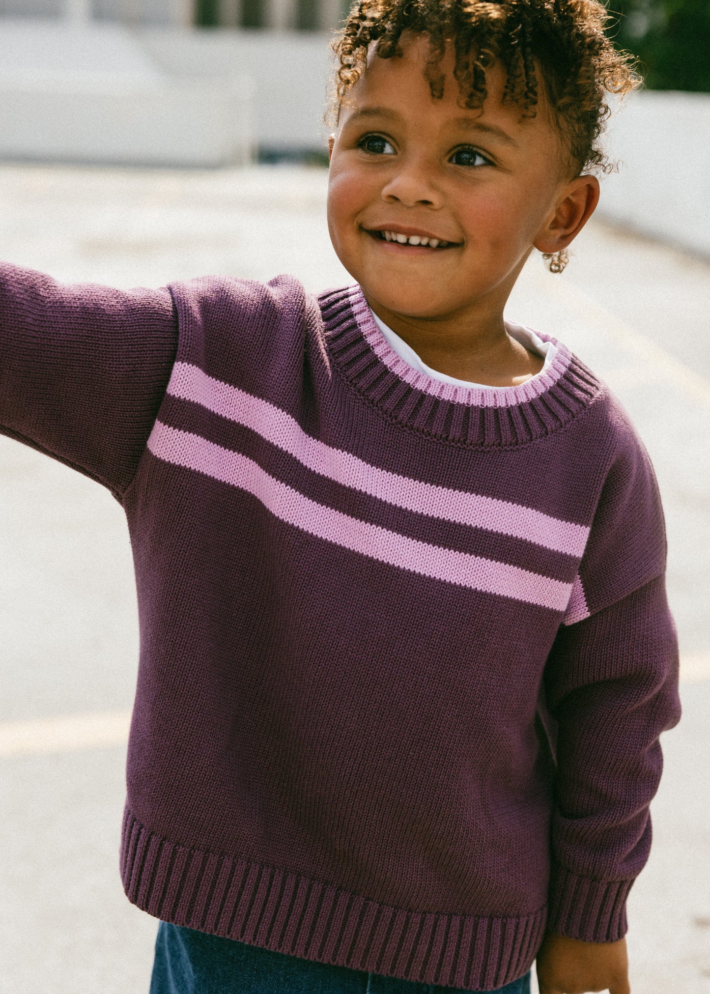 Double Stripe Knit- Plum