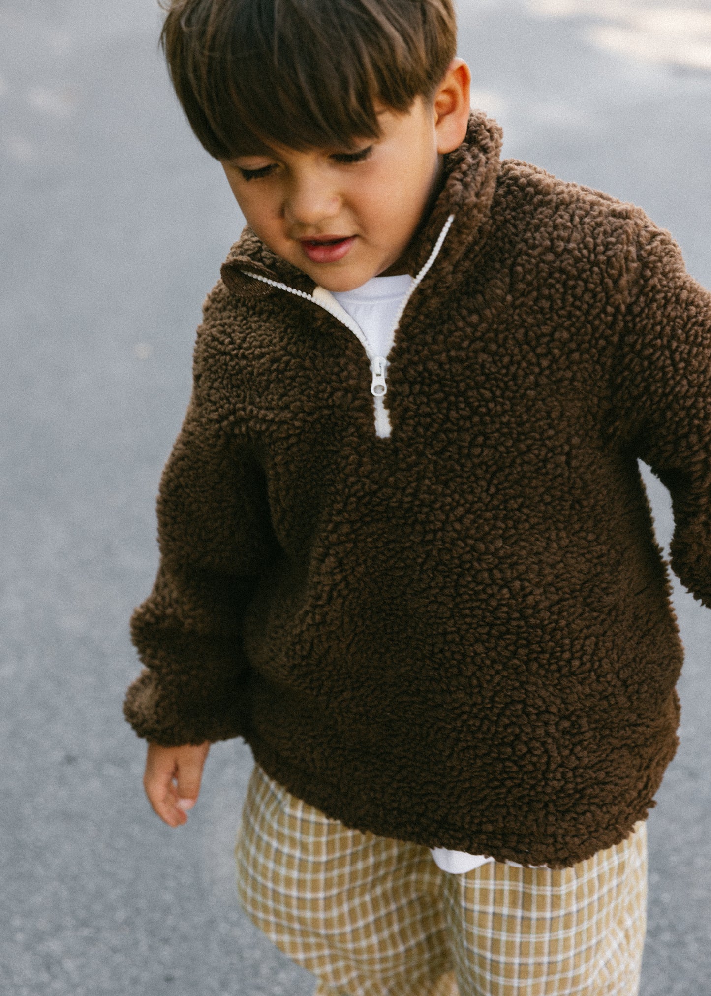 Sherpa Quarter Zip Pullover- Brown