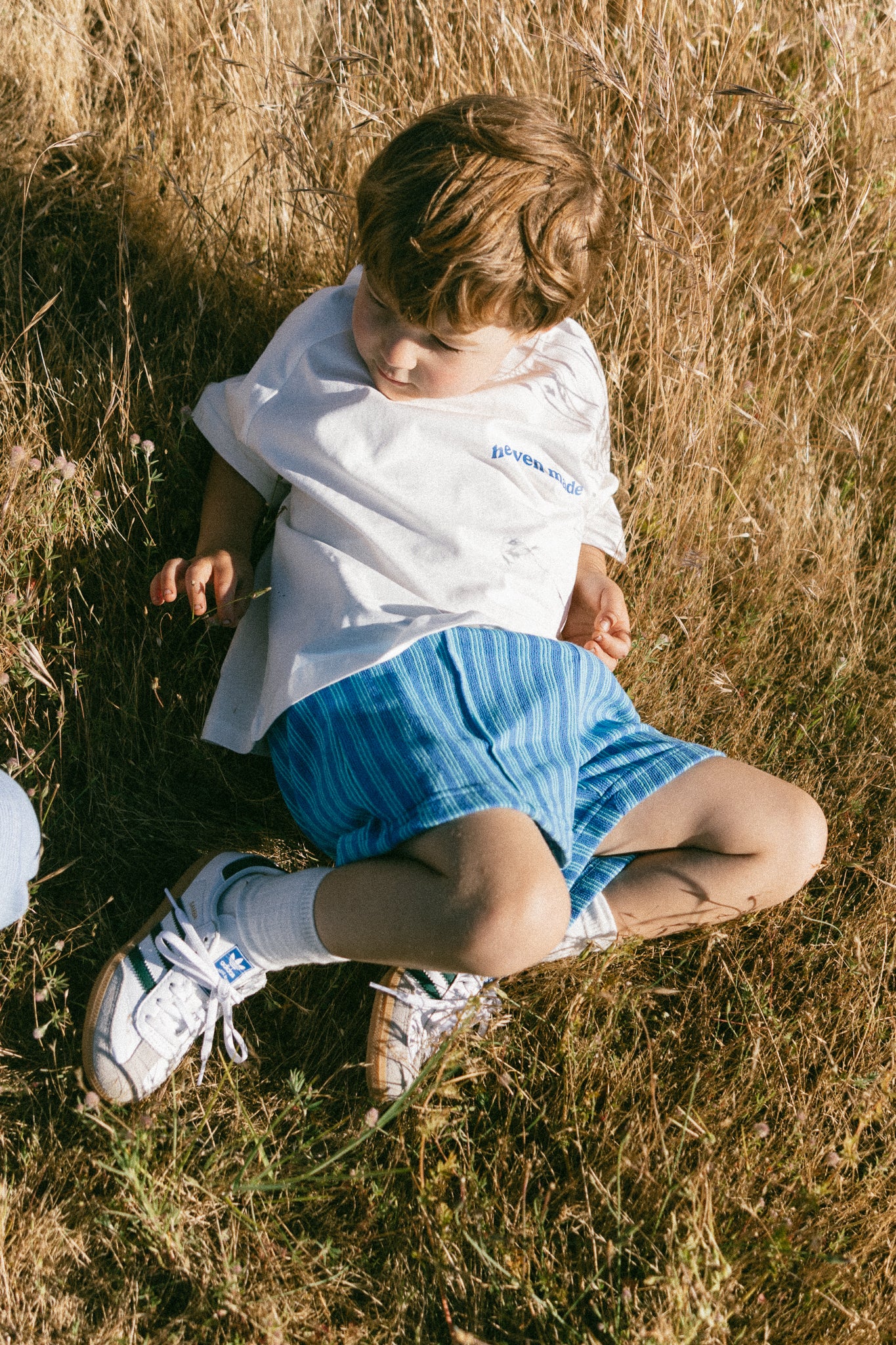 Striped Terry Shorts- Blue