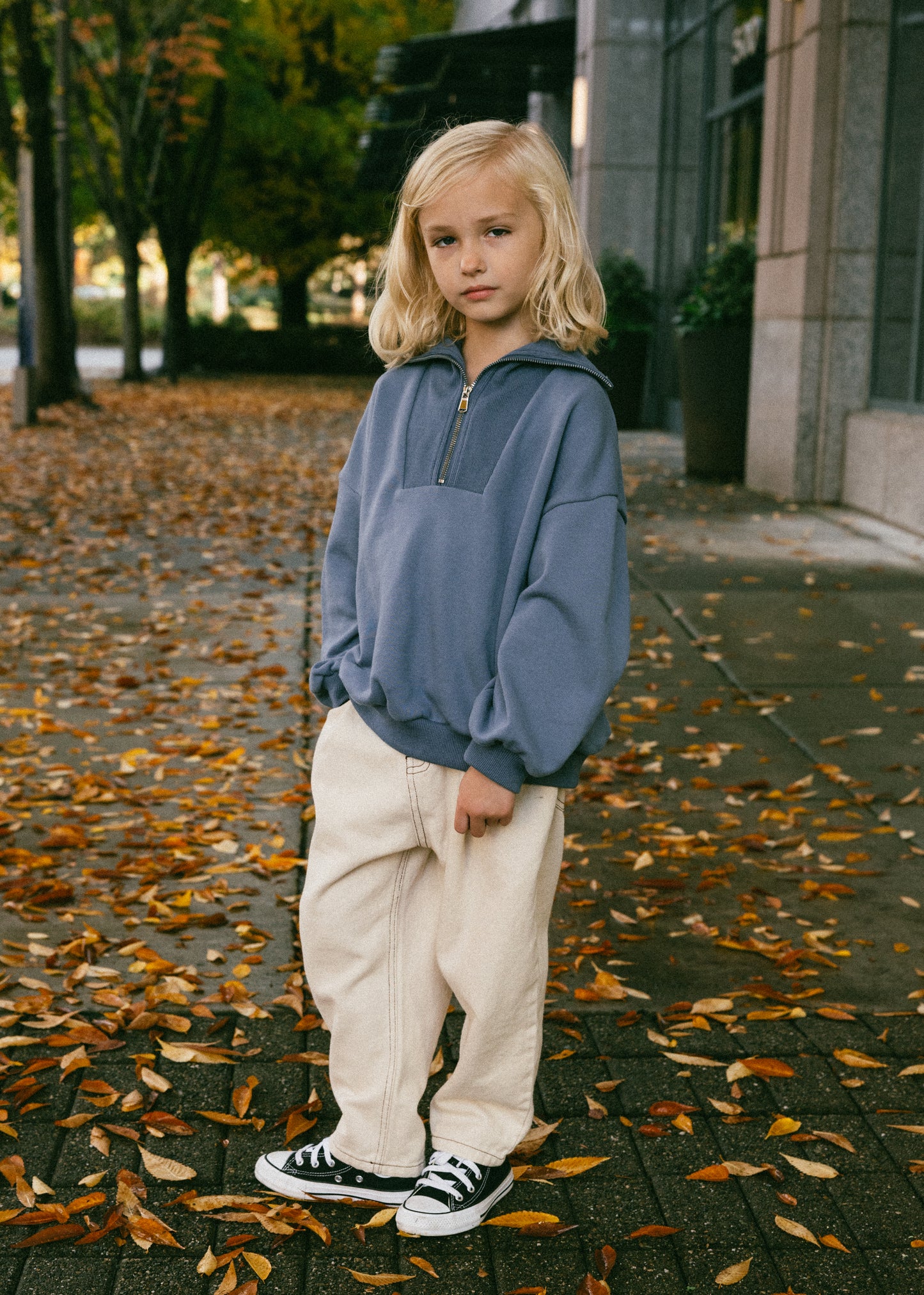 Half Zip Sweater- Blue