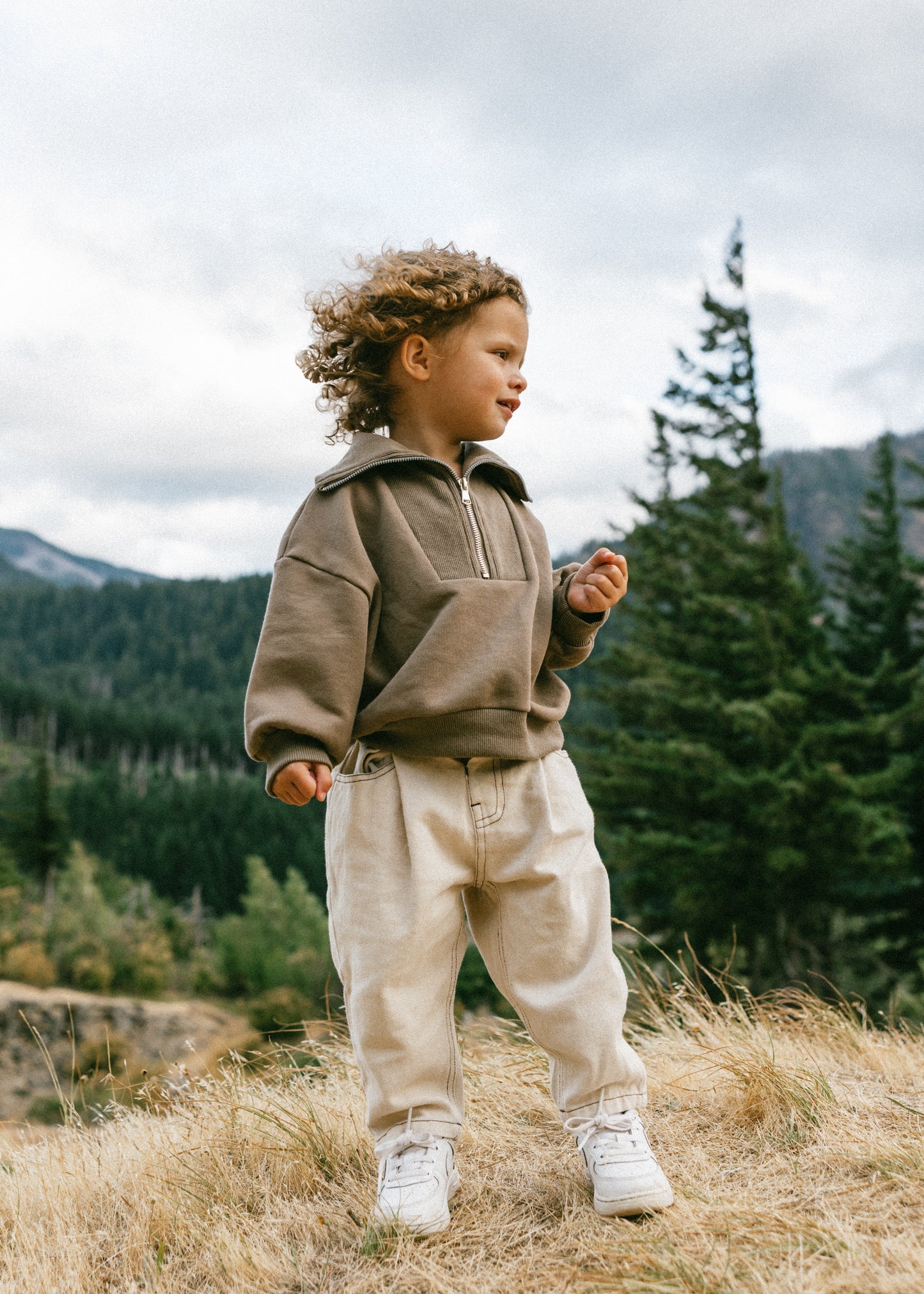 Fostered Collection Half Zip Sweater