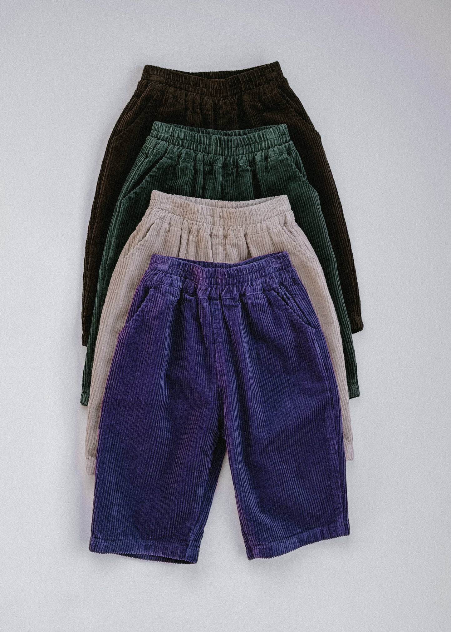 Baggy Cord Pants- Purple