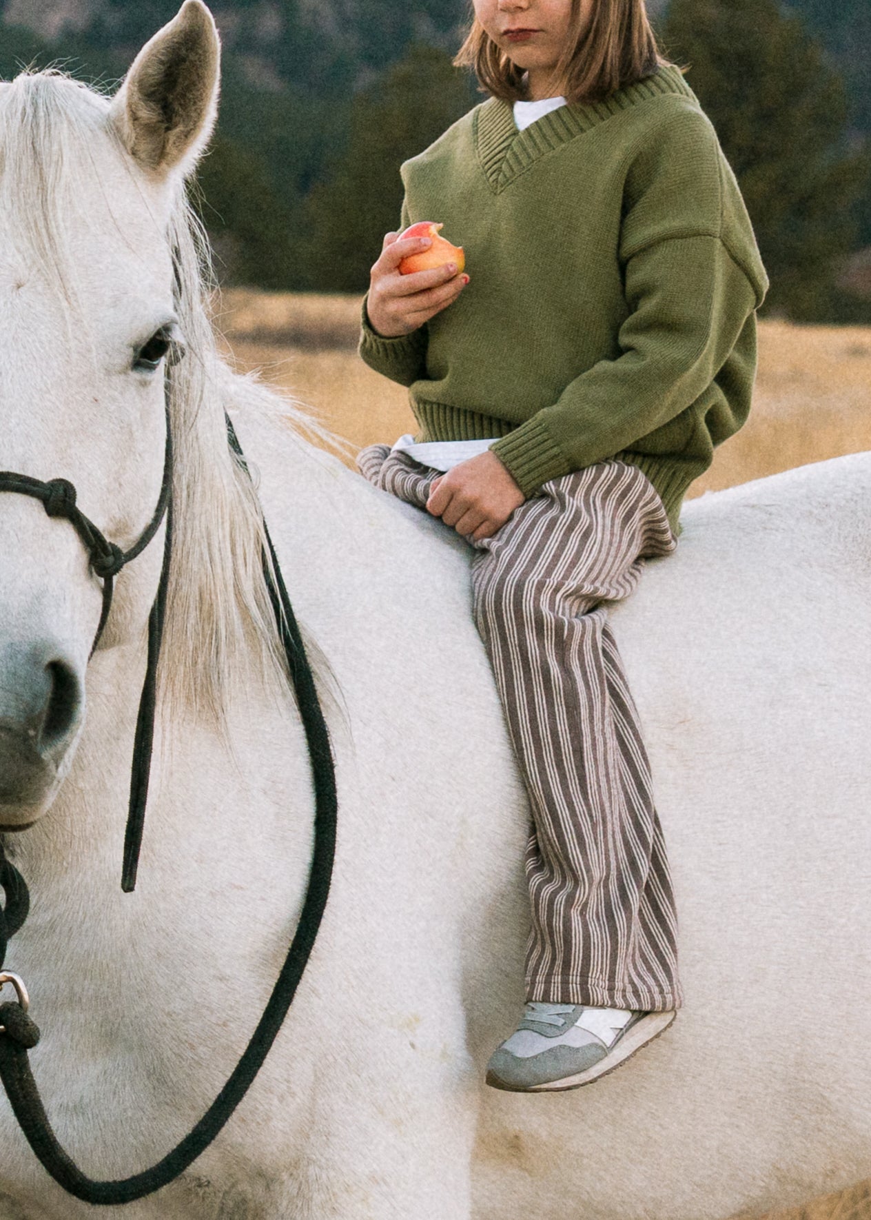 Striped Terry Pants- Brown