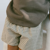 Vintage Check Shorts