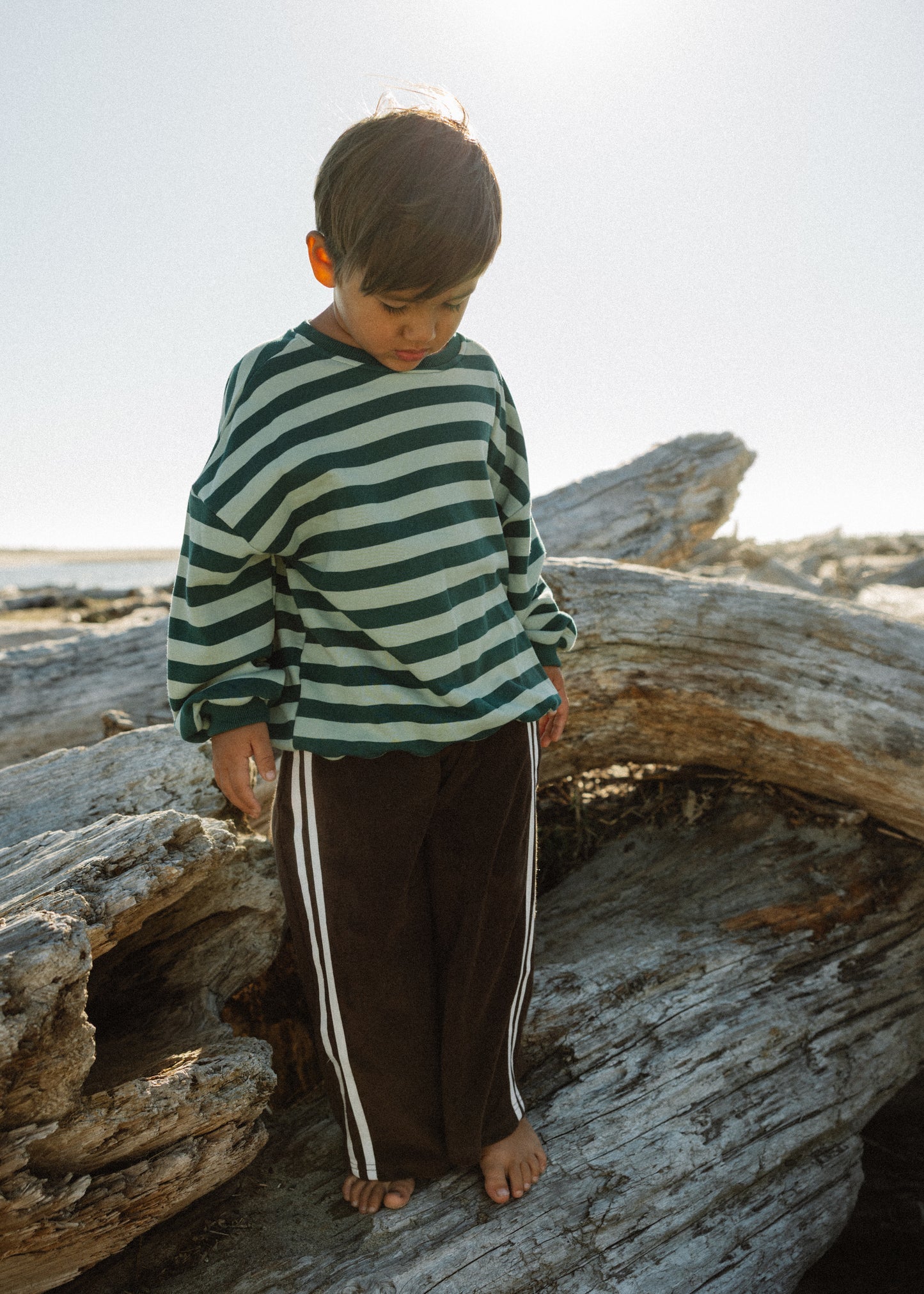 Bold Vintage Crewneck- Sage