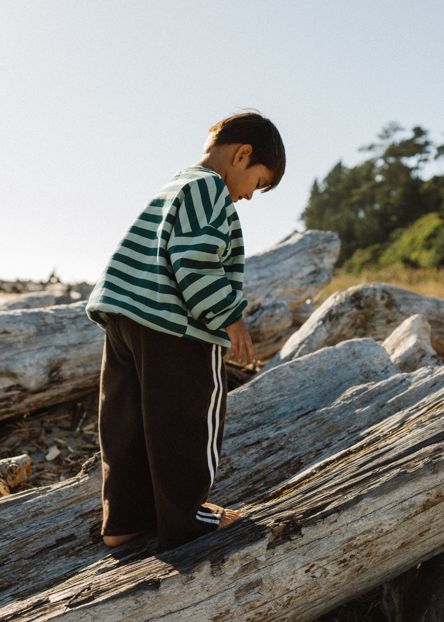 Bold Vintage Crewneck- Sage