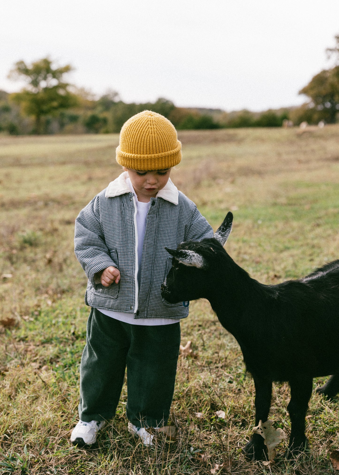 Baggy Cord Pants- Green