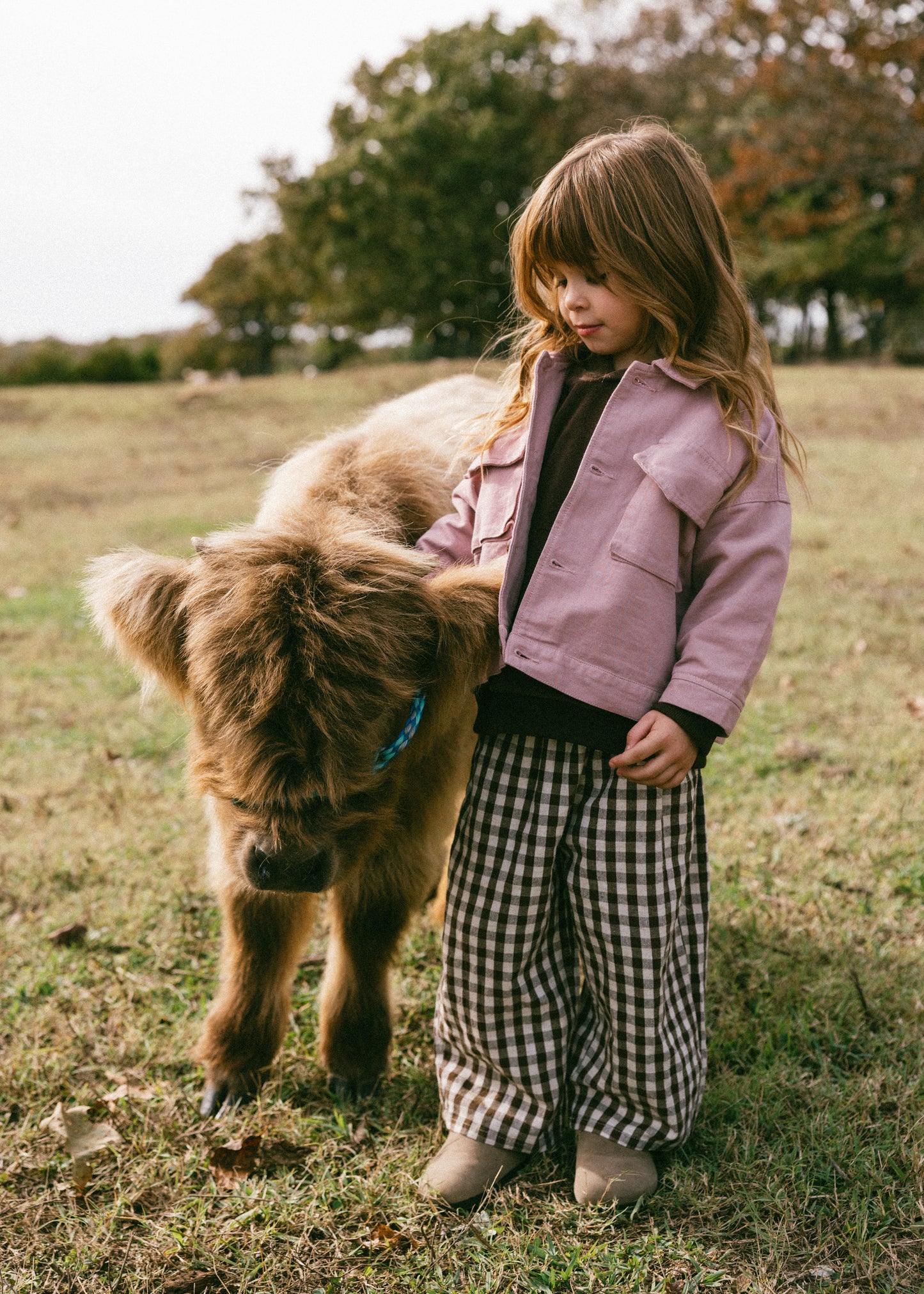 Cargo Jacket- Dusty Rose