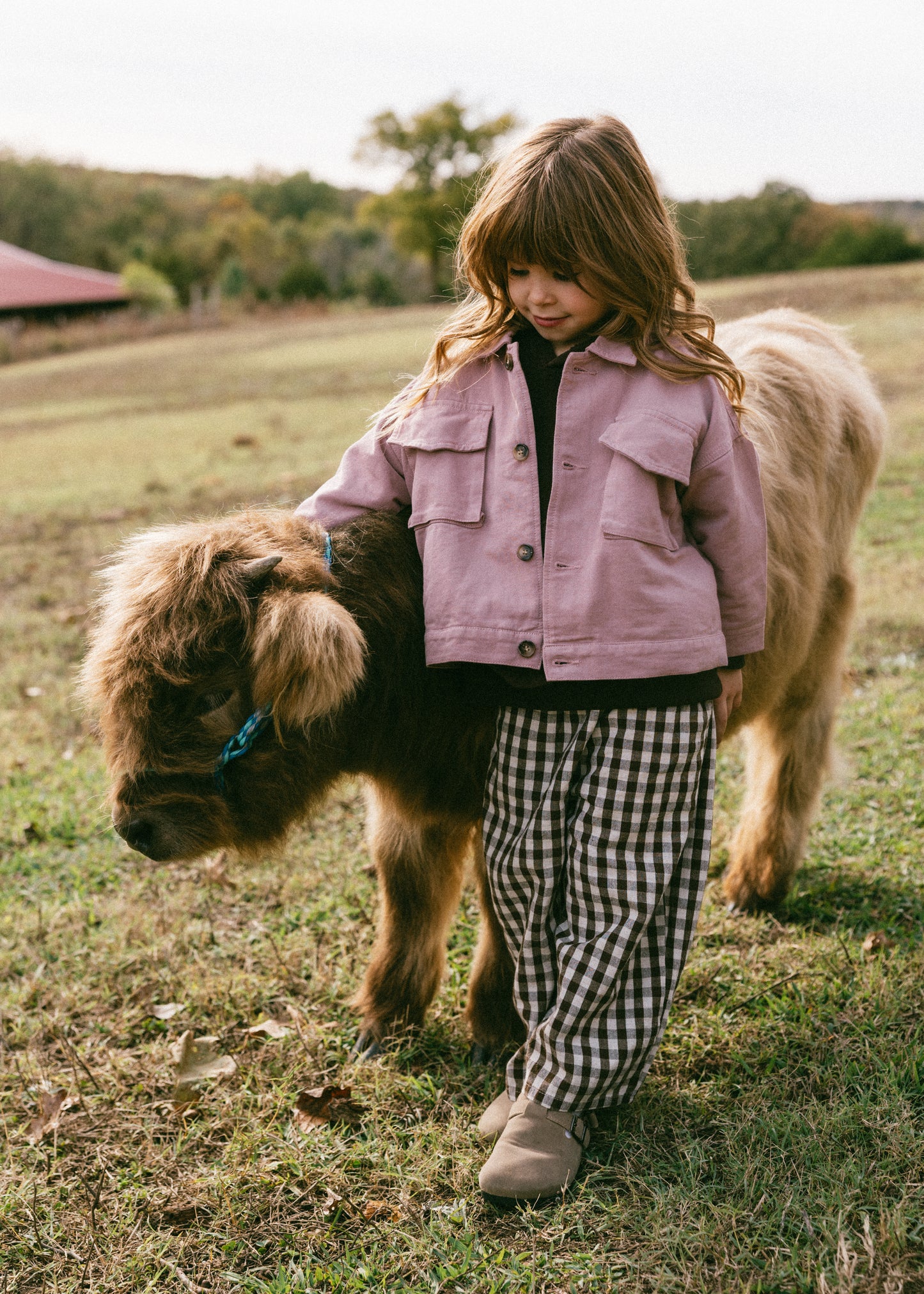 Cargo Jacket- Dusty Rose