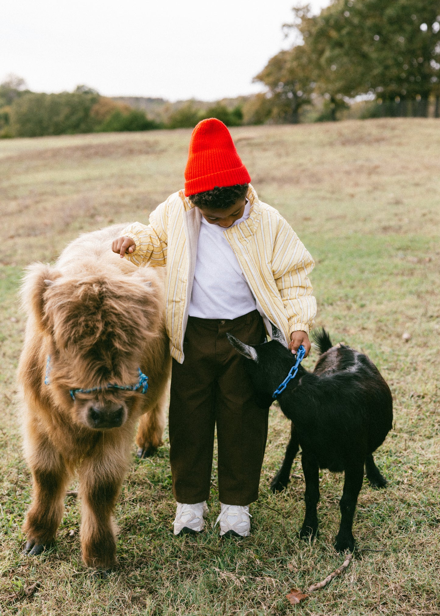 Striped Cotton Bomber- Yellow