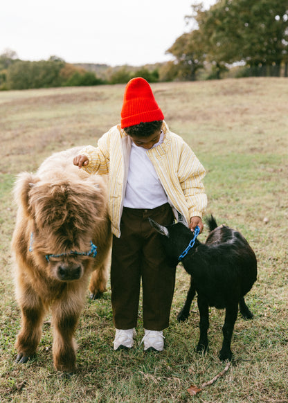 Striped Cotton Bomber- Yellow