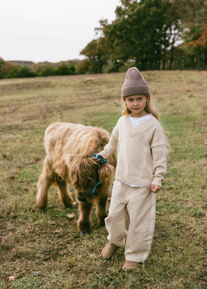 Knitted V-Neck Sweater- Oat