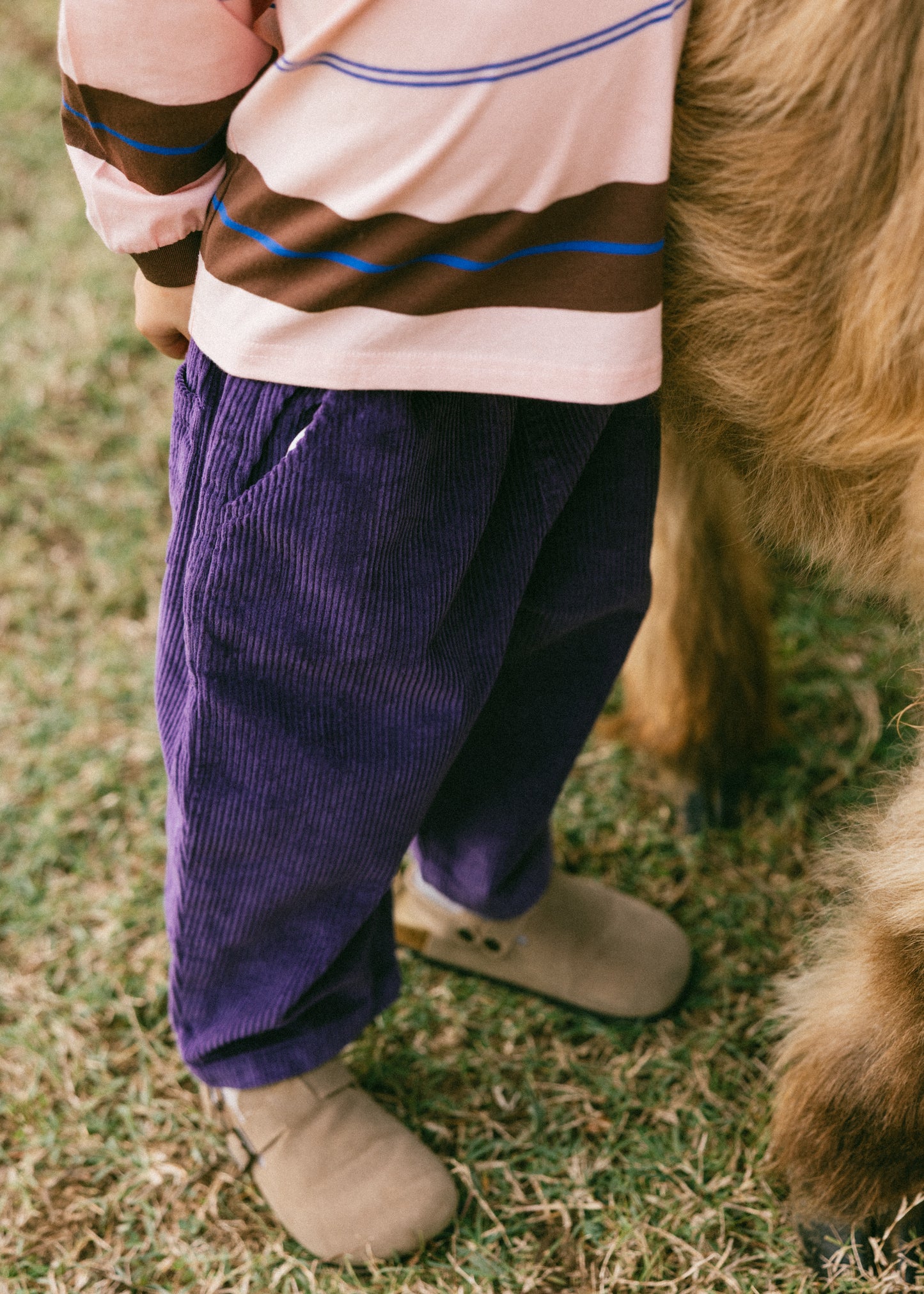 Baggy Cord Pants- Purple