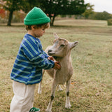 Lightweight Striped Crewneck- Blue