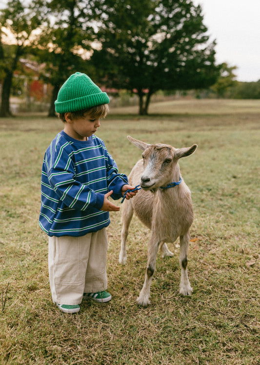 Lightweight Striped Crewneck- Blue