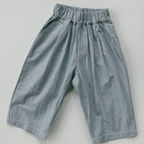 Pin Stripe Poplin Pants- Blue