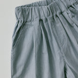 Pin Stripe Poplin Pants- Blue
