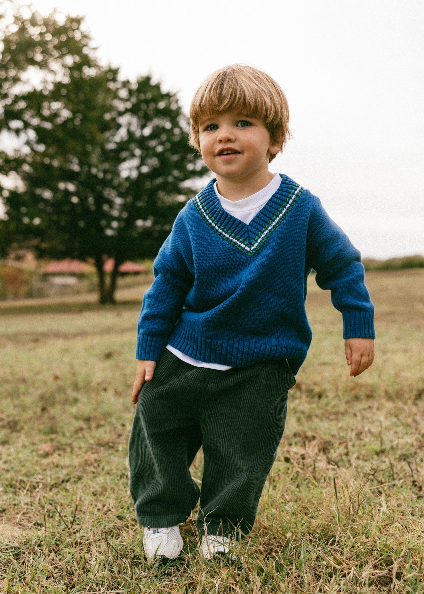 Knitted V-Neck Sweater- Blue