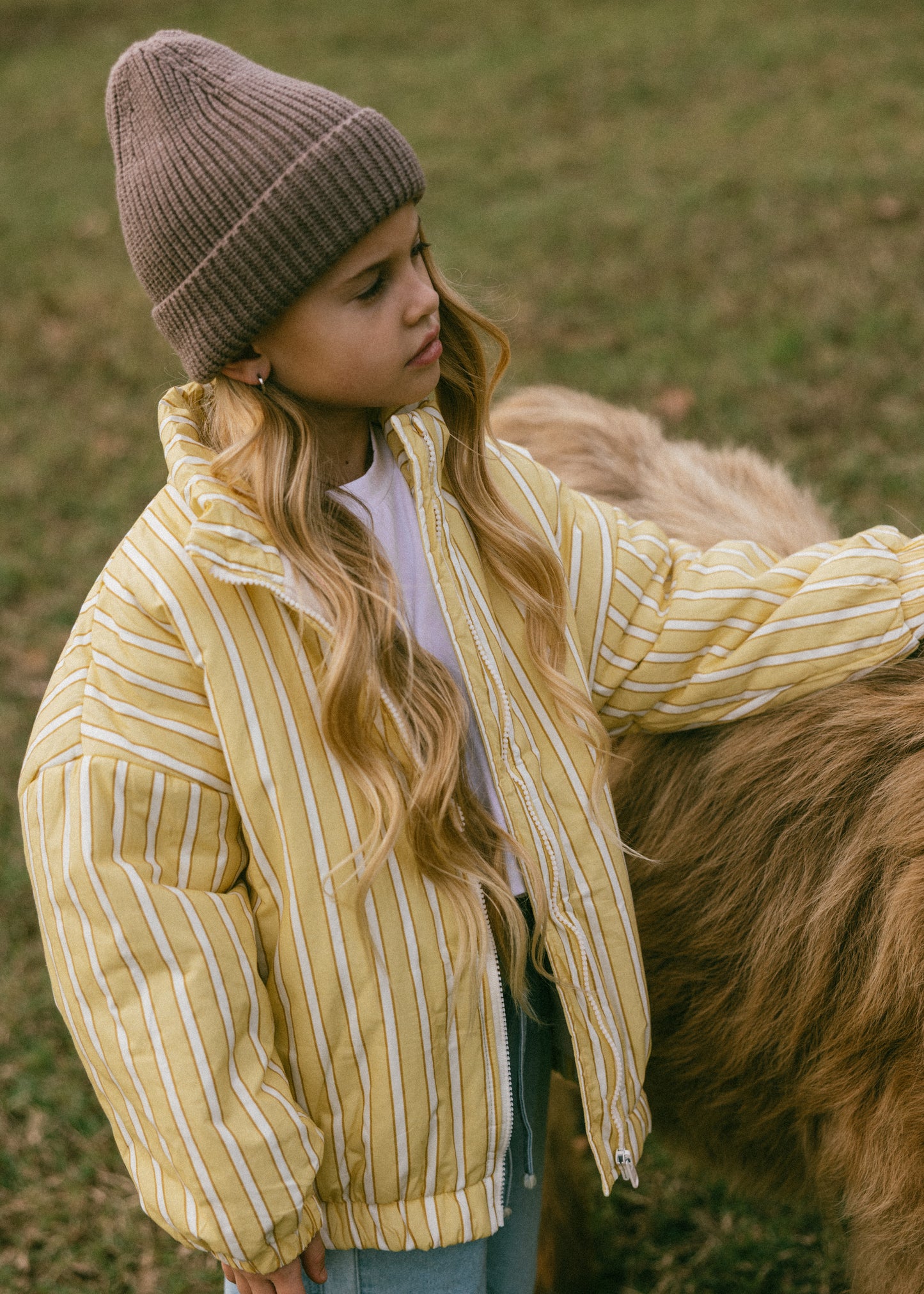 Striped Cotton Bomber- Yellow
