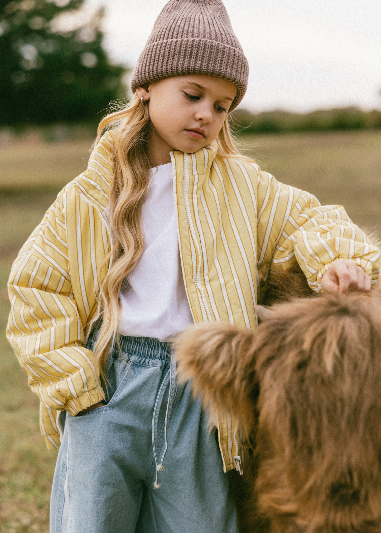 Striped Cotton Bomber- Yellow
