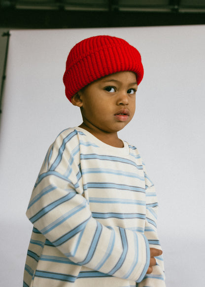 Long Sleeve Striped- Ivory and Light Blue