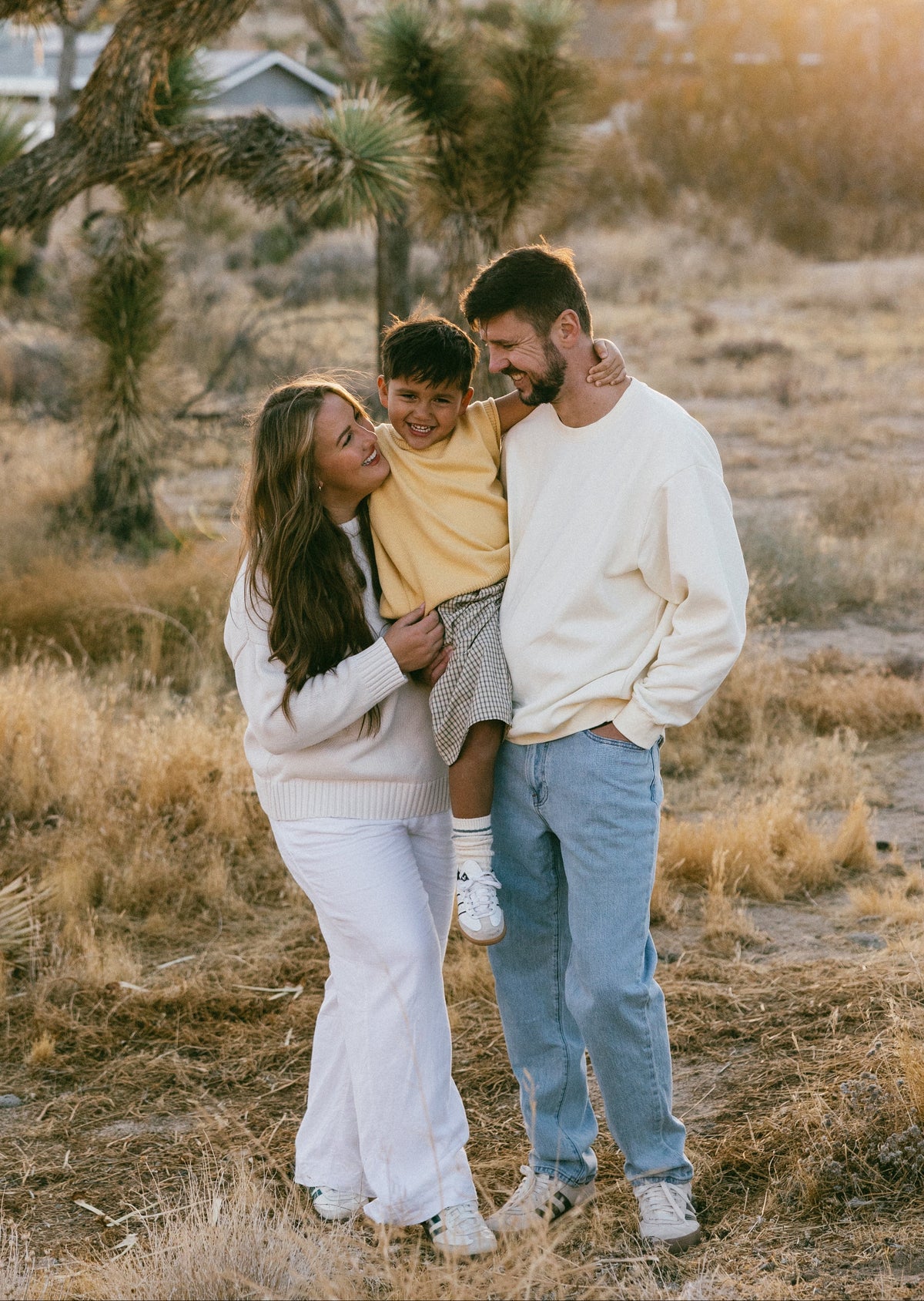 About – Fostered Collection