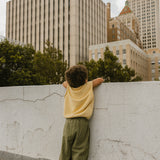 Check Pants- Light Olive & Honey
