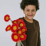 Playday Long Sleeve- Brown