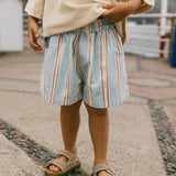 Retro Twill Shorts- Bomb Pop