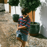 Vintage Stripe Zip Polo