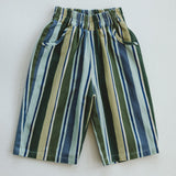Retro Twill Pants - Painters Stripe