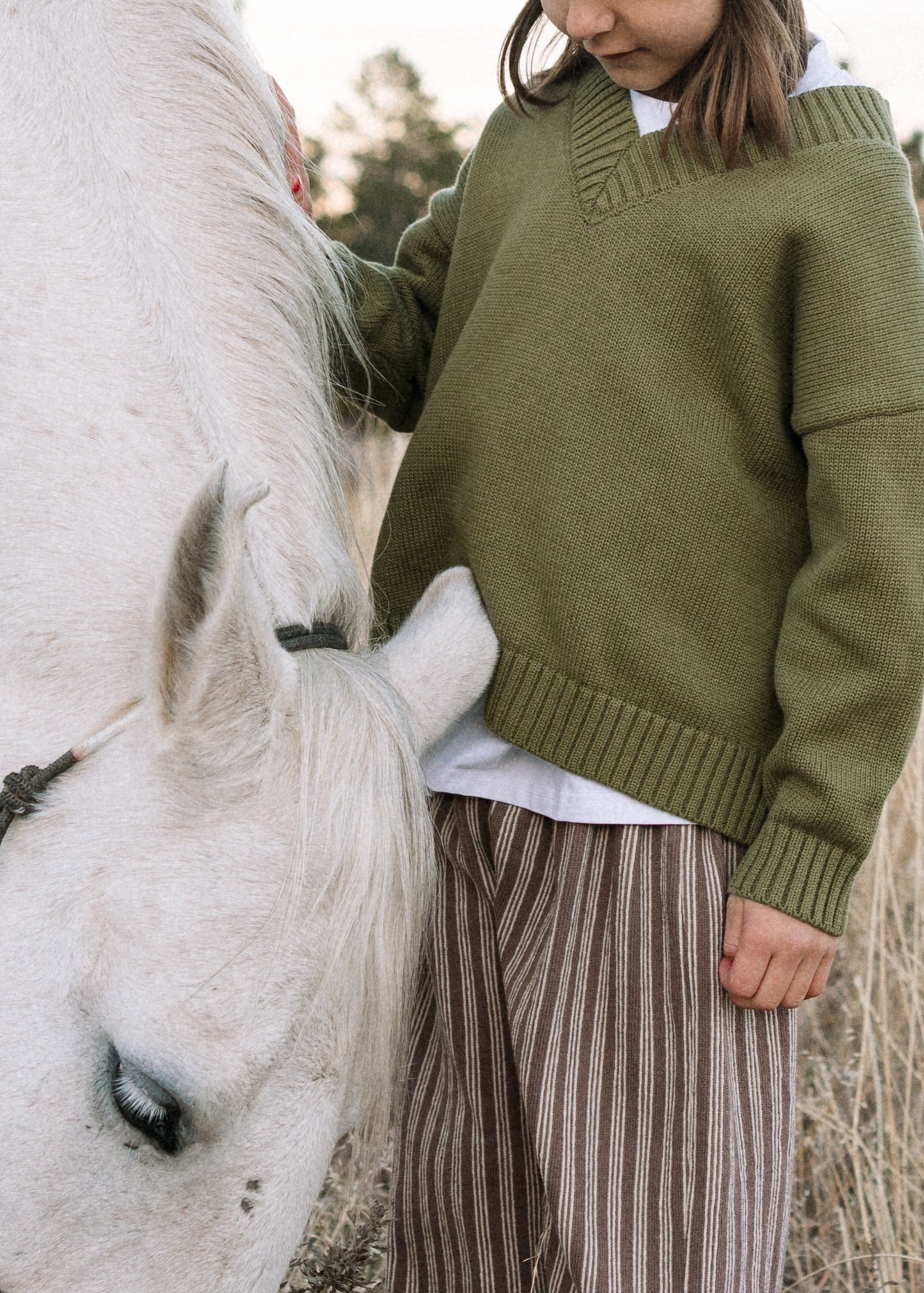 Knitted V-Neck Sweater- Olive