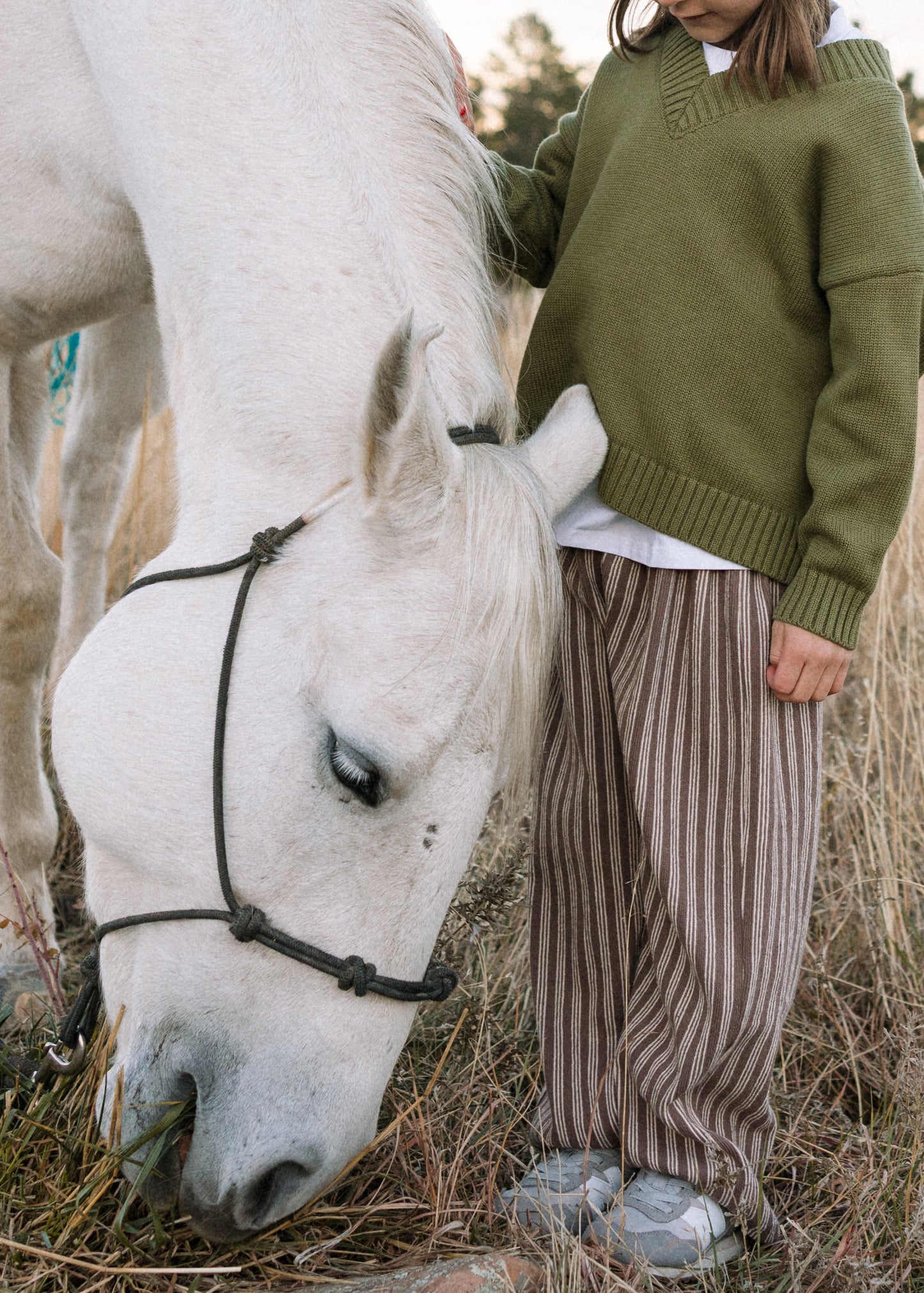 Striped Terry Pants- Brown