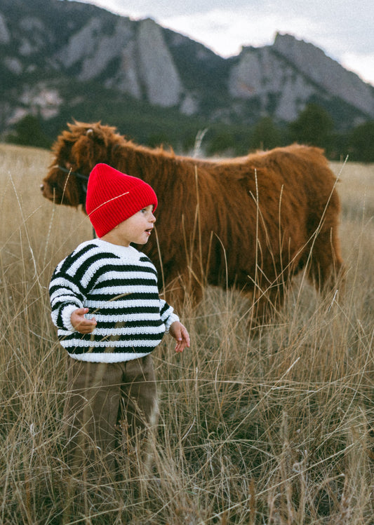 Chunky Knit- Striped