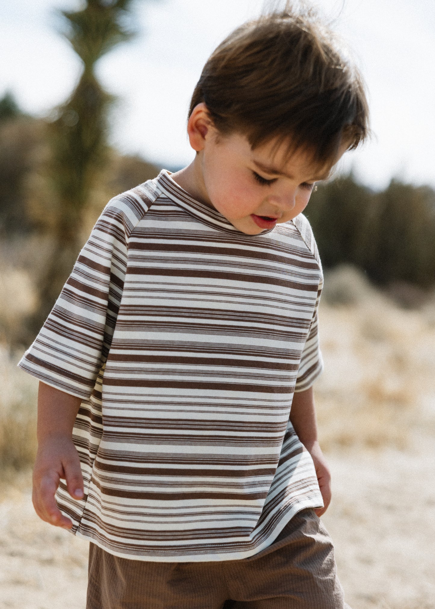 Baggy Tee- Striped- Brown